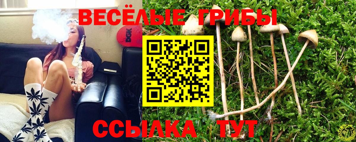 Галлюциногенные грибы Magic Shrooms  Псилоцибиновые грибы ЛСД  Вход с VPN  Избербаш 